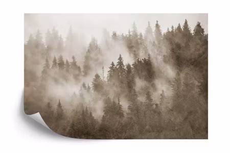 Fototapet - Forest in the mist textured in sepia