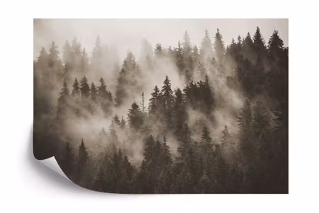 Fototapet - Forest in the mist in sepia iq1227e
