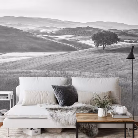 Fototapet - Rolling hills faded vintage in black