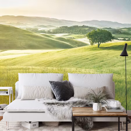 Fototapet - Rolling hills faded vintage iq1241a