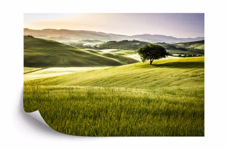 Fototapet - Rolling hills iq1240a