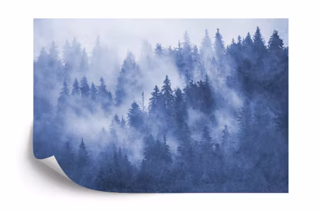 Fototapet - Forest in the mist textured in blue
