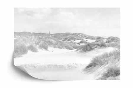 Fototapet - Dune paradise faded vintage in black