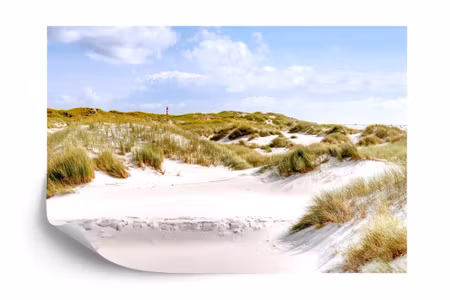 Fototapet - Dune paradise iq1214a