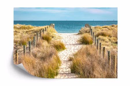 Fototapet - Let&amp039s go down to the beach