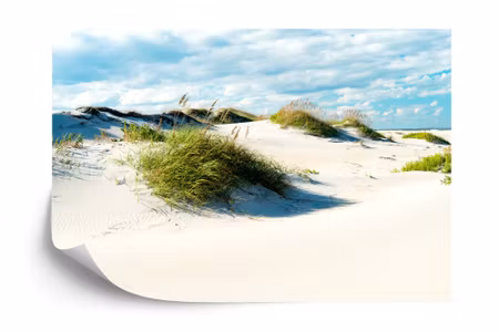 Fototapet - Afternoon in the dunes iq1208a