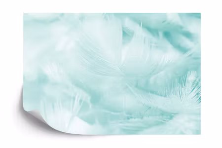 Fototapet - Feathers in turquoise iq1251c