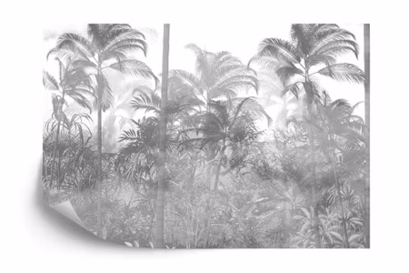 Fototapet - Tropical trees and leaves in foggy