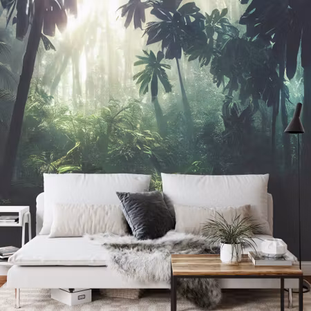 Fototapet - Dark rainforest sun rays through the