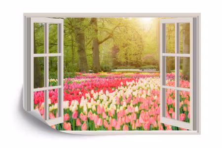 Fototapet - Window with beautiful spring tulips