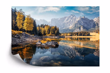 Fototapet - Awesome sunny landscape in the forest