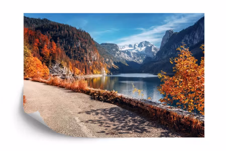 Fototapet - Beautiful landscape mountain forest
