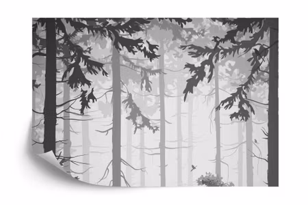 Fyrkantig fototapet - Forest Trees