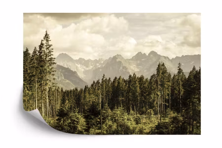Fyrkantig fototapet - Forest Mountains