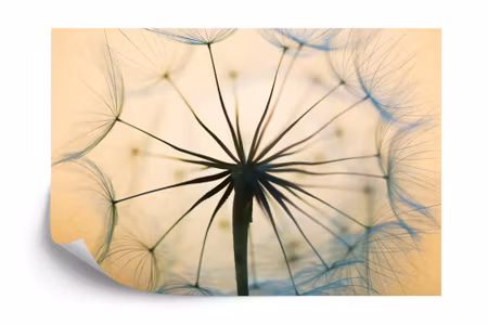 Fyrkantig fototapet - Optical Dandelion