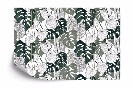 Fyrkantig fototapet - Monstera Leaves