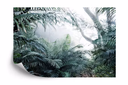 Fyrkantig fototapet - Forest in Fog