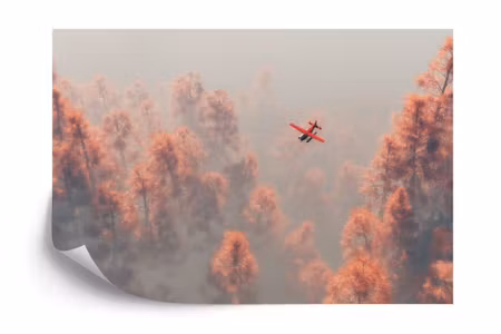 Fyrkantig fototapet - Forest in Fog
