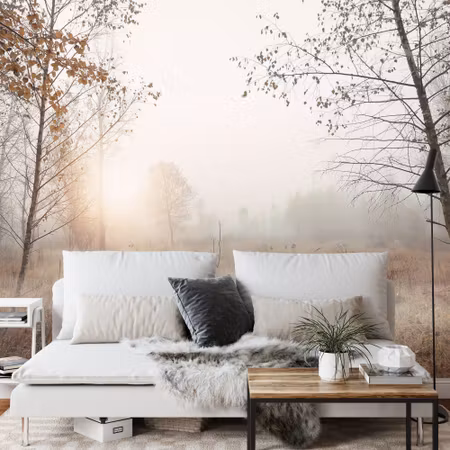 Fyrkantig fototapet - Forest in Fog
