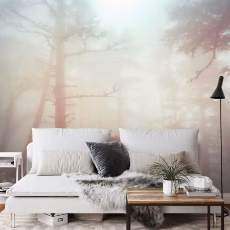 Fyrkantig fototapet - Forest in Fog