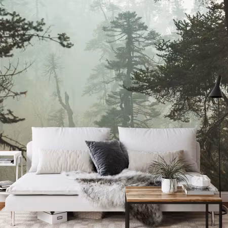 Fyrkantig fototapet - Forest in Fog