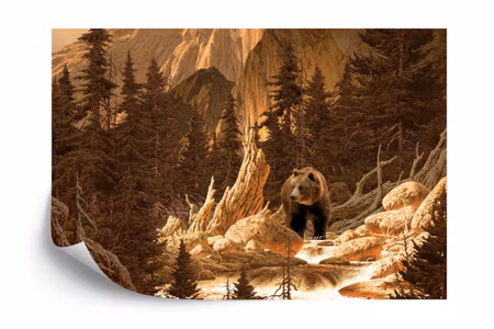 Fyrkantig fototapet - Bear in the Mountains