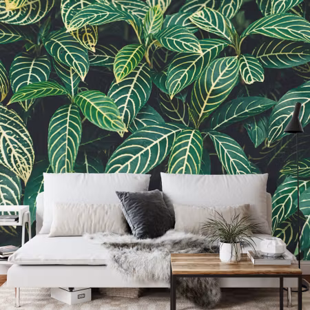 Fyrkantig fototapet - Tropical Leaves