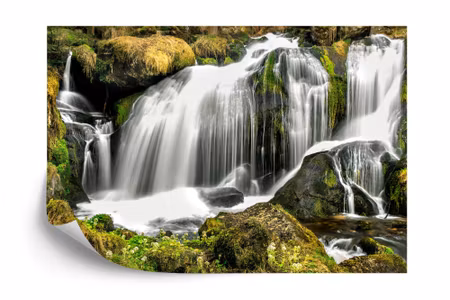 Fyrkantig fototapet - Waterfall in the Forest