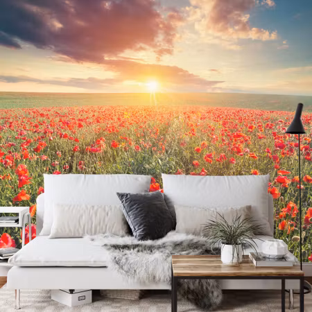Fyrkantig fototapet - Poppy Field