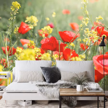 Fyrkantig fototapet - Poppies Meadow