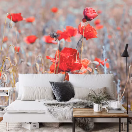 Fyrkantig fototapet - Poppies Meadow Vintage