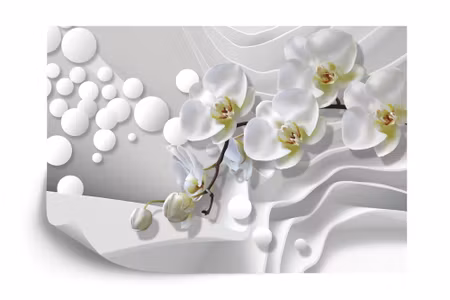 Fyrkantig fototapet - White Orchids