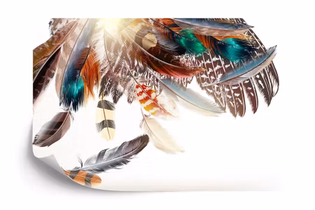 Fyrkantig fototapet - Feathers in Boho Style