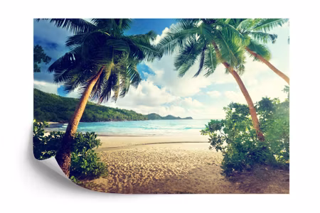 Fyrkantig fototapet - Palm Trees on the Seychelles