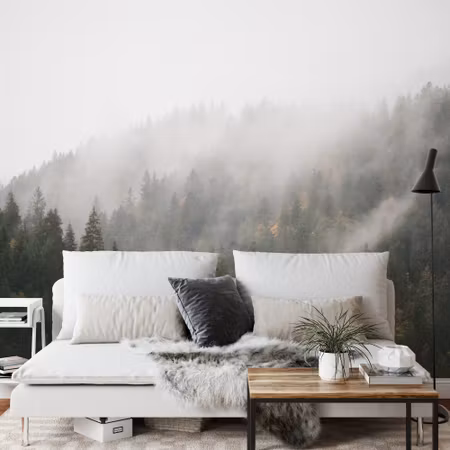 Fyrkantig fototapet - Forest in Fog
