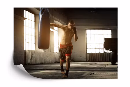 Fyrkantig fototapet - Training Boxer