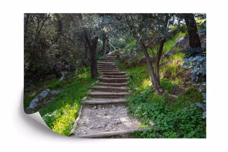 Fyrkantig fototapet - Stairway in the Woods 3D