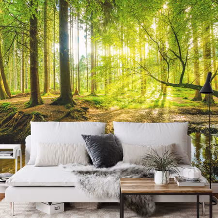 Fyrkantig fototapet - Beautiful Forest Landscape
