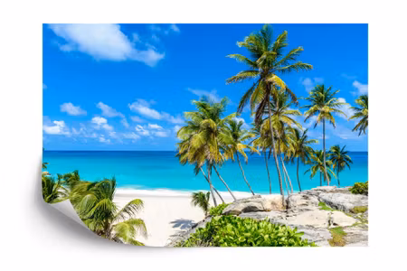 Fyrkantig fototapet - Beach Ocean Palm Trees