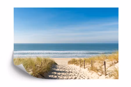 Fyrkantig fototapet - Beach Sea Dunes