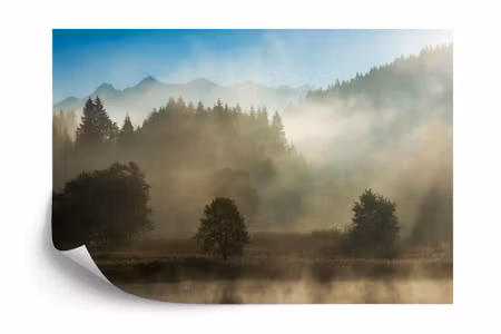 Fyrkantig fototapet - Forest in Fog