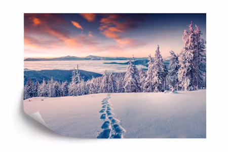 Fyrkantig fototapet - Winter in the Mountains