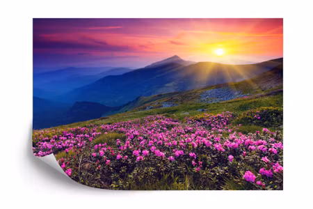 Fyrkantig fototapet - Landscape Flowers