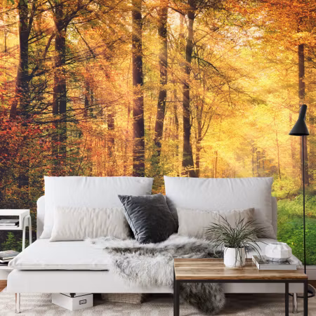 Fyrkantig fototapet - Forest Autumn Colours