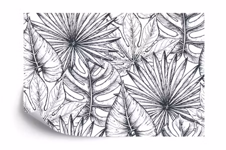 Fyrkantig fototapet - Monstera Leaves