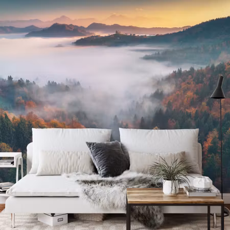 Fyrkantig fototapet - Forest in Fog