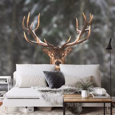 Fyrkantig fototapet - Deer in the Forest
