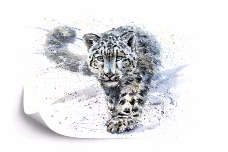 Fyrkantig fototapet - Snow Leopard