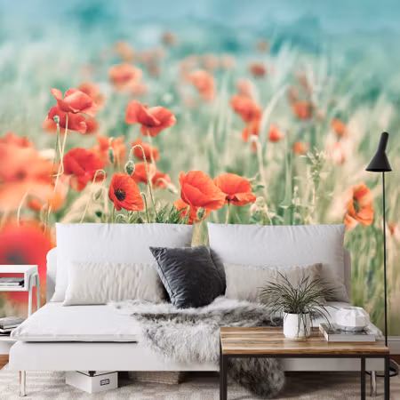 Fyrkantig fototapet - Wild Poppies on the Meadow