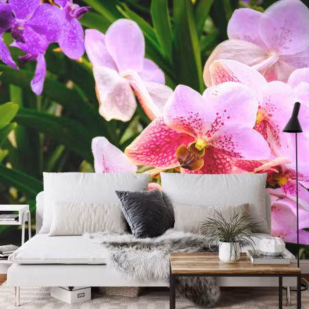 Fyrkantig fototapet - Colorful Orchids 3D